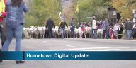 Large local and international issues resolving as-well-as sheep parading through the town