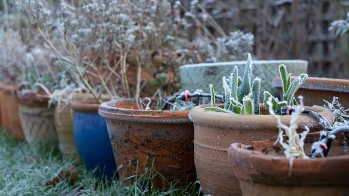 The Best Way To Prep Outdoor Planters For Winter Without Lugging Them Indoors