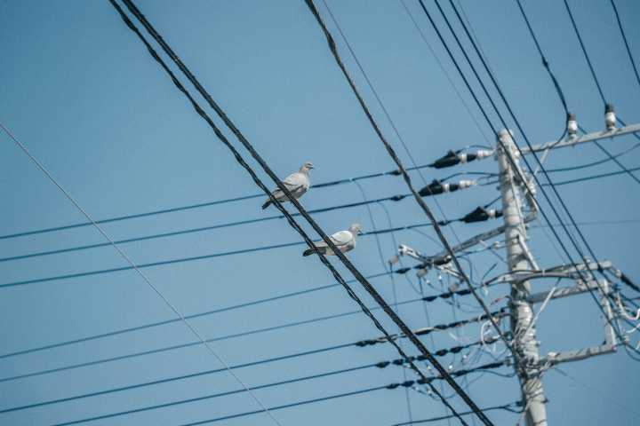 Data Centers Demand More of Georgia’s Electric Resources