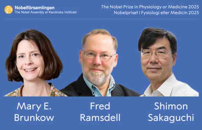 Estudio de sistema inmune gana Nobel
