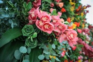 Destacan crecimiento exponencial del sector de flores de Guatemala