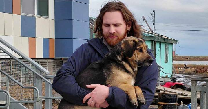 Volunteers save dogs from a flooded Alaska village, 1 tiny plane at a time