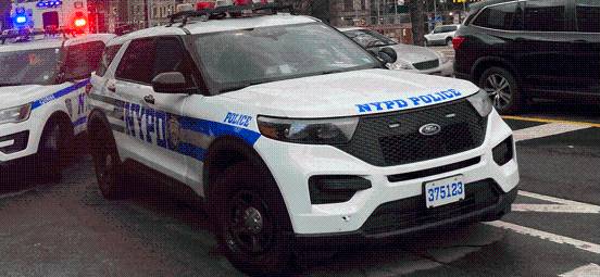 Female ACS Employee Arrested in The Bronx for Assault
