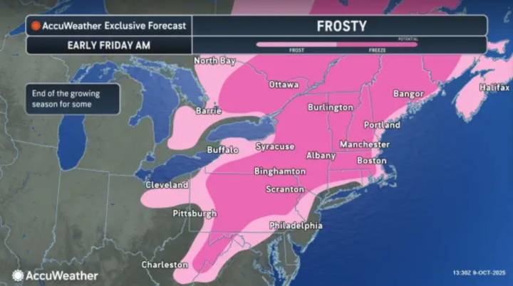 Freeze, frost alerts issued for 14 N.J. counties. Temps could drop into 20s tonight.