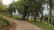 A menos de 3 horas de Bucaramanga: así es el pueblo patrimonio de Santander, conocido como ‘la cuna de la libertad de América’
