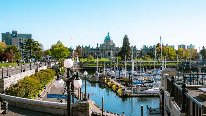 ‘Truly remarkable’: Woman unexpectedly gives birth in Victoria Inner Harbour