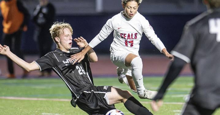 Seals win 4th straight district title