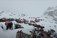 Hundreds of Everest Hikers Rescued After Being Stranded in Snowstorm