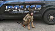 Howard County police dogs sport new safety vests