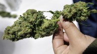 State regulators present detailed cannabis sales data on 5th anniversary of legal adult use market