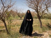 Photos: Water salinity hurting farmers, livestock in Iraq