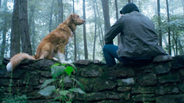 Indie Film Box Office: IFC Thriller 'Good Boy' Sticks In Top Ten