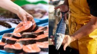 Experto explica cuáles son las tres señales que debe ver antes de comprar un pescado para asegurarse de que esté fresco