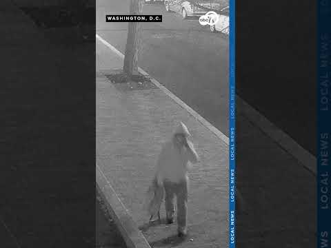 New video of suspect who placed pipe bombs near DNC, RNC offices