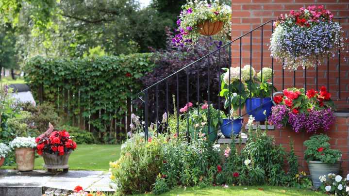 The Flowering Perennial You Should Never Plant In Fall (& When To Do It Instead)