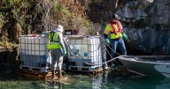 ISDA concludes this year's quagga mussel treatment