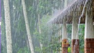 IMD issues yellow alert for parts of state as Mumbai reels under hot weather