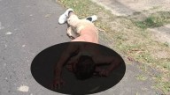 Tuerto moreno alto existe y estuvo preso en La Pica