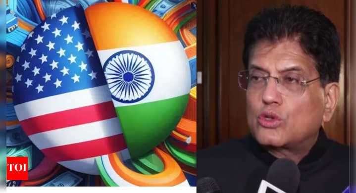 'Ongoing continuously': India-US in contact at various levels for trade deal; FTA talks also on with EU