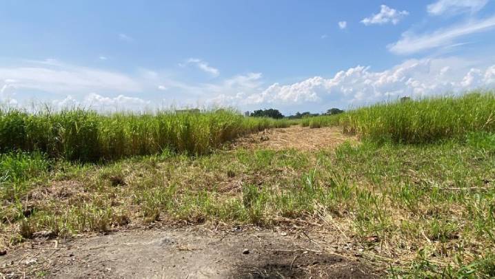 Terreno frente a la UD-17 no está baldío y exigen pronta entrega para viviendas