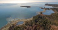 N.S. news: Whale Sanctuary Project given approval