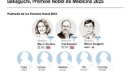 ¿Qué es la tolerancia inmunológica periférica que ha justificado hoy el Premio Nobel?