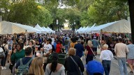 Fall for Greenville 2025: What you need to know