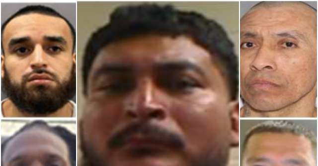 ICE Agents Arrest Gang Member, Carjacker, Kidnapper Despite No Pay due to Govt Shutdown