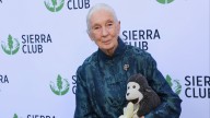 Muere la primatóloga y activista Jane Goodall a los 91 años