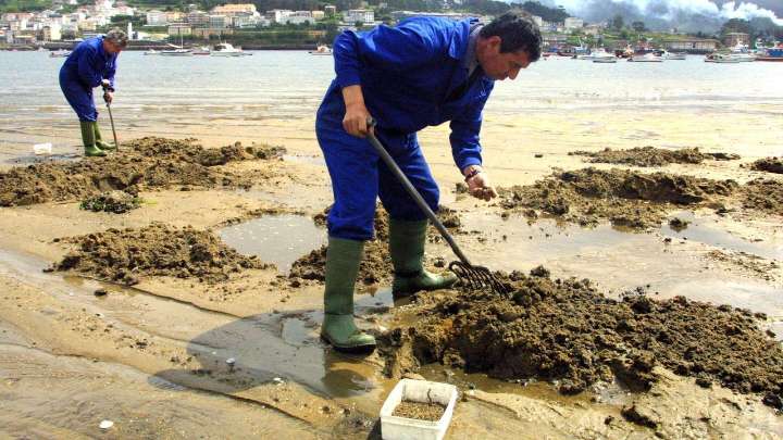 La apuesta por la acuicultura da nueva vida a proyectos