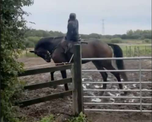 Showing producer under investigation for backing dummy video