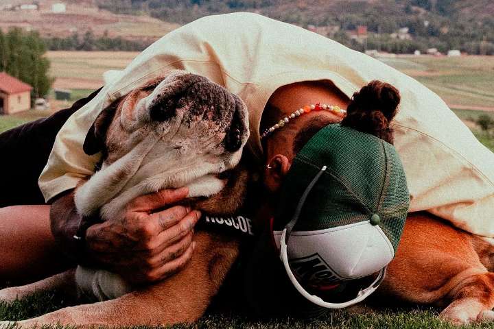 Fallece Roscoe, el inseparable bulldog de Lewis Hamilton y estrella de la Fórmula 1