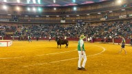 La fiesta empieza (o continúa) en la plaza de toros: así es una mañana en las vaquillas de las Fiestas del Pilar 2025