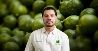 Los Blancos de Troya: ¿Qué cártel habría asesinado a Bernardo Bravo y extorsiona a limoneros?