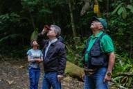 Exitosa jornada de avistamiento de aves en Panamá (+Foto)