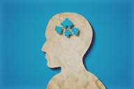 La diminuta planta que combate el envejecimiento cerebral y aporta más proteína que la carne