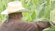 Campesinos Bloquearán la Carretera Guadalajara-Manzanillo y la Caseta de Ocotlán; Esto Exigen