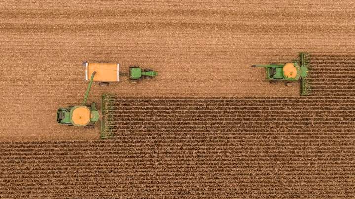 "Consolida la recuperación". El boom de cuatro cultivos revive las ventas de un insumo fundamental para el campo