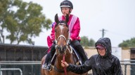RACING 
                                          Comments
                                        
                                          Premium
                                        Favour