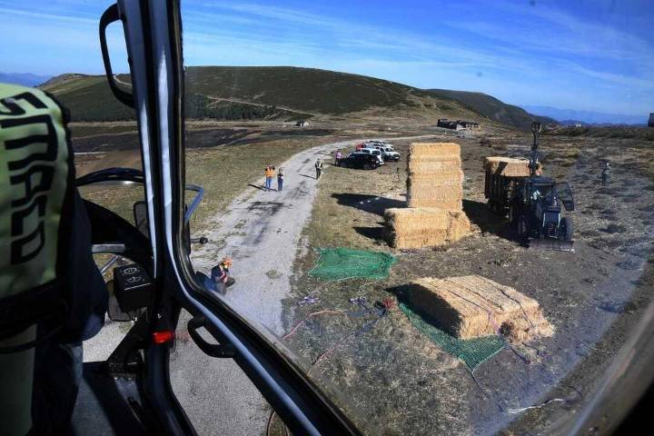 Movilizan medios aéreos para repartir 60 toneladas de paja para alimentar a la fauna