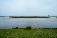 El Consejo de Ministros aprueba este martes las ayudas de renaturalización del entorno agrícola de Doñana