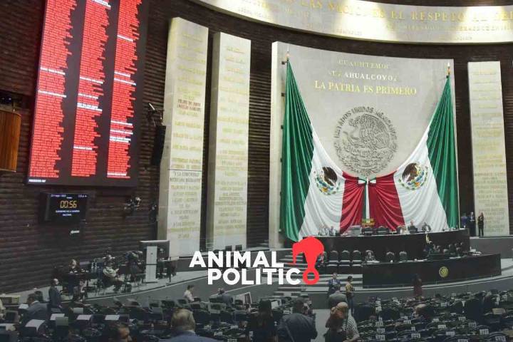 Diputados corregirán la plana al Senado; eliminarán la retroactividad de la Ley de Amparo