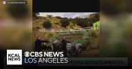 Six arrested for attempting to hang banner from Hollywood sign, police say