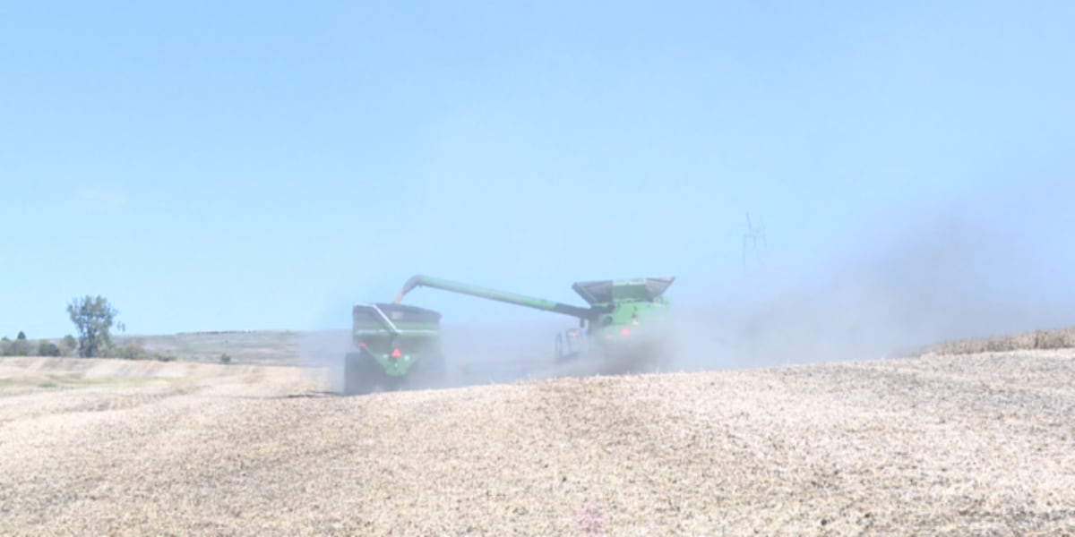 Representative Julie Fedorchak speaks on new markets for soybeans