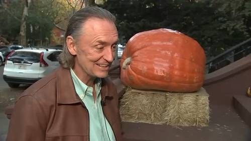 Brooklyn resident uses forklift to get 1,000-pound pumpkin on his stoop