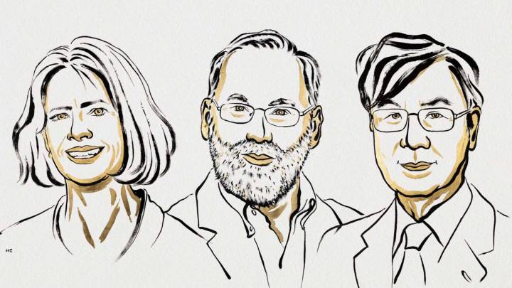 Este Fue el Descubrimiento sobre el Sistema Inmune que Mereció el Premio Nobel de Medicina 2025
