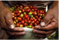 Las exportaciones colombianas cayeron ligeramente en agosto
