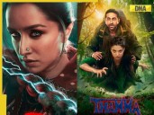 Thamma: Stree Shraddha to appear with Bhediya Varun? Ayushmann reveals...