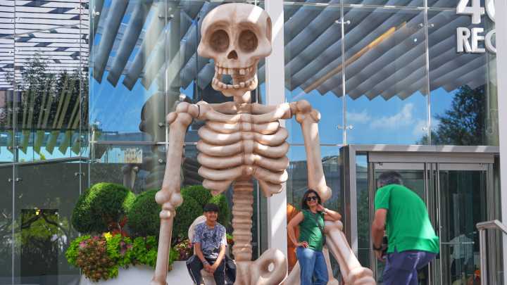 Poll: How Americans will be celebrating Halloween