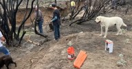 Southern Utah braces for next line of storms after night of floods